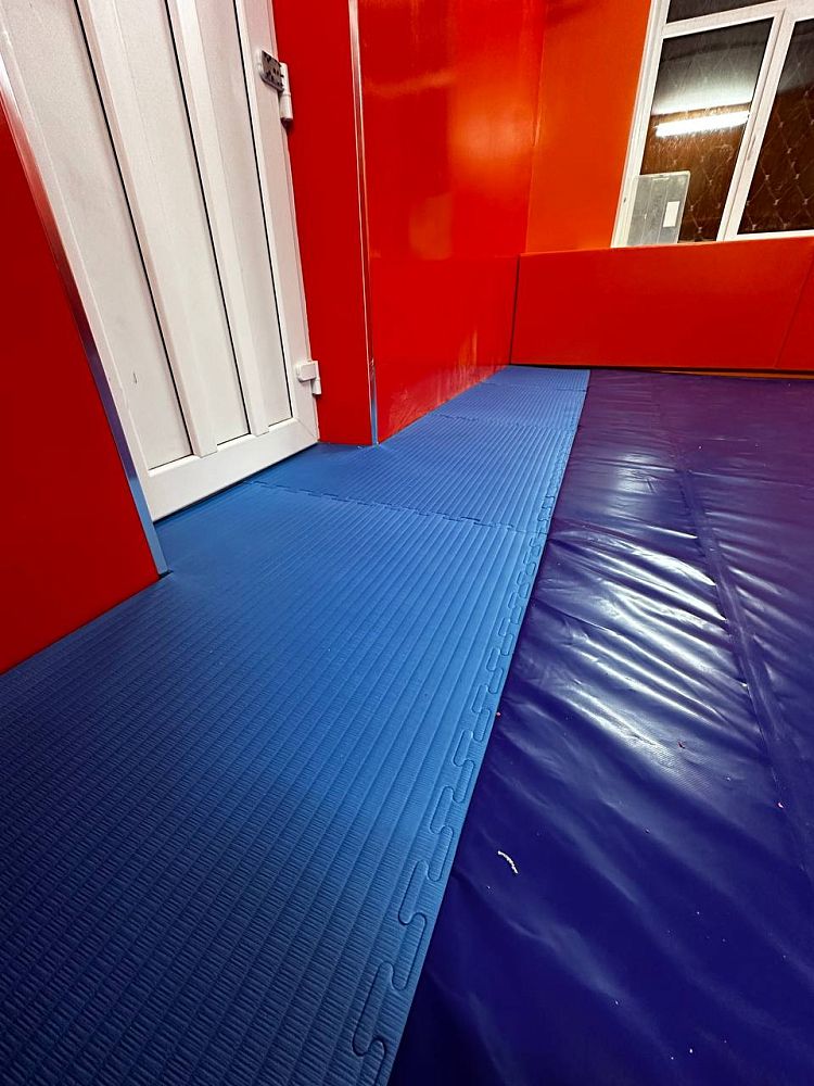 НОУ «Православный детский дом Павлин» НОУ «Православный детский дом Павлин»