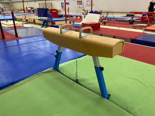 Конь гимнастический маховый, соревновательный (нат.кожа)