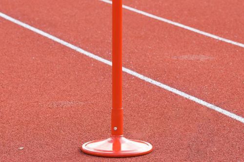 Индикатор направления ветра POLANIK WI-S301#4