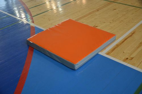 Мат гимнастический 1х1х0,1м ПРОФИ (иск. кожа) М100-4#3