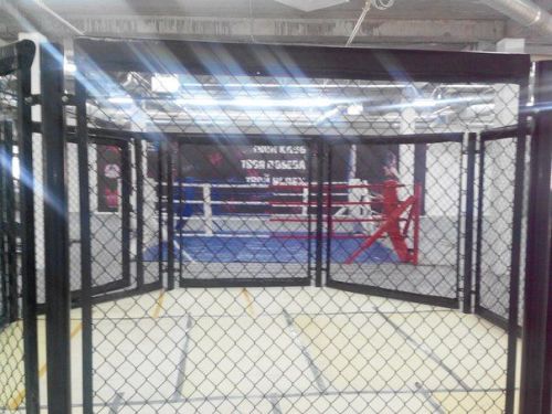 Восьмиугольный ринг ММА на помосте d=5 м (высота помоста 1 м)#6