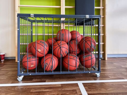 Корзина для мячей передвижная 750х1050х750 на 40 шт. (пруток) СТ-111#10