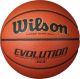 Мяч баскетбольный WILSON Evolution WTB0586XBEMEA №6 (микрофибра)#2 Мяч баскетбольный WILSON Evolution WTB0586XBEMEA №6 (микрофибра)#2