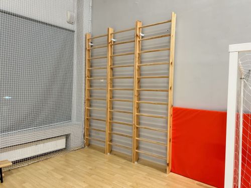 Стенка гимнастическая "Стандарт" 2200х800х135мм (боковины из массива сосны, березовые перекладины, в деталях) СТП-76#5