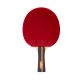 Ракетка для настольного тенниса TORRES Master 3* (коническая ручка)#10