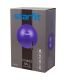 Фитбол STARFIT GB-109 75 см (фиолетовый)#7 Фитбол STARFIT GB-109 75 см (фиолетовый)#7