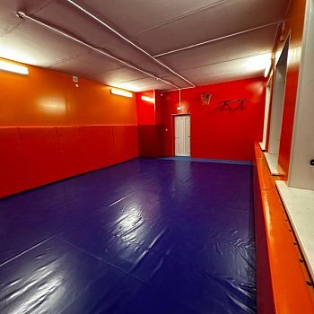 НОУ «Православный детский дом Павлин» НОУ «Православный детский дом Павлин»