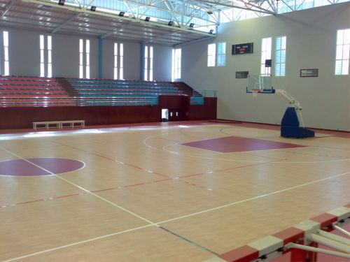 Спортивный линолеум GraboSport Mega#7