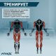 Скоростной велотренажер FITEX PRO PREMIER PROF-M#4