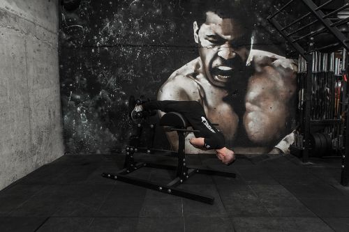 Тренажёр GHD (гиперэкстензия, римский стул)#10 Тренажёр GHD (гиперэкстензия, римский стул)#10