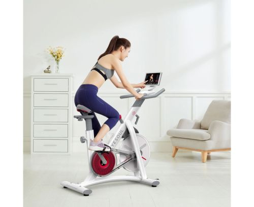 Велотренажер YESOUL S3 PRO WHITE#2