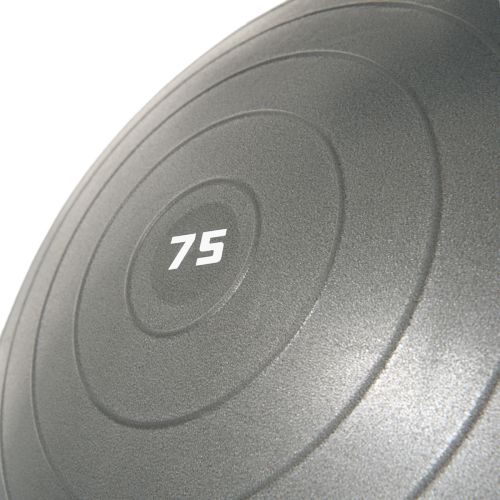 Мяч гимнастический TORRES 75 см (серый)#4