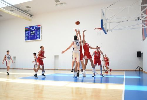 Спортивный линолеум Apoluza Sportfloor PVC Wood 6,5 мм#5