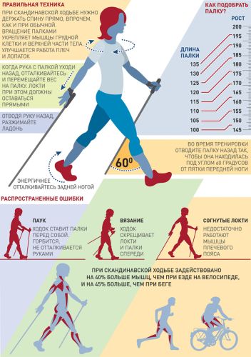 Палки для скандинавской ходьбы Ergo-50 (110-140 см)#4