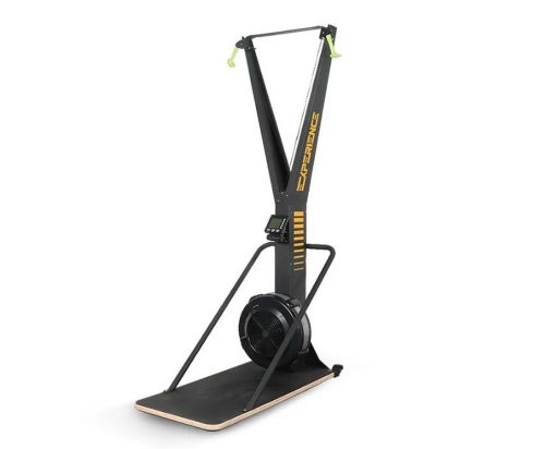 Лыжный тренажер HASTTINGS EXPERIENCE SKIERG HD90SR30