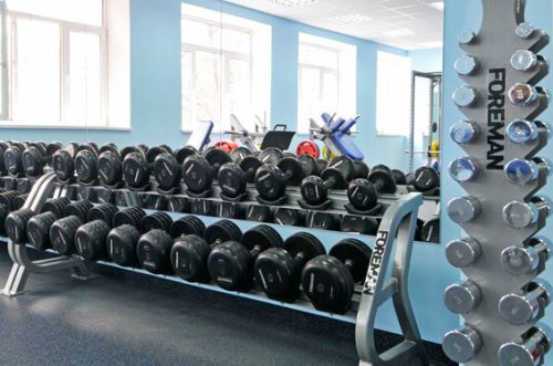 Подставка под легкие гантели (вертикальная) FOREMAN FR-817#3 Подставка под легкие гантели (вертикальная) FOREMAN FR-817#3