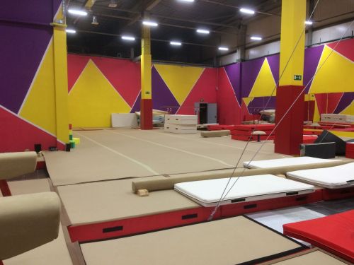 Ковер для спортивной гимнастики 14х14 м (40 мм)#5