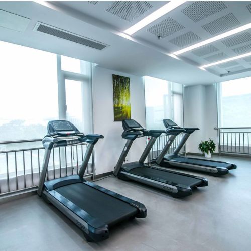 Полупрофессиональная беговая дорожка SHUA BC-T5517S#2 Полупрофессиональная беговая дорожка SHUA BC-T5517S#2