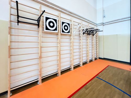 Стенка гимнастическая "Премиум" 2800х800х150мм ГОСТ (боковины из мебельного щита, березовые перекладины, в деталях) СТМ-539#9