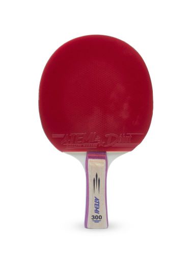 Ракетка для настольного тенниса ATEMI 300 CV#2