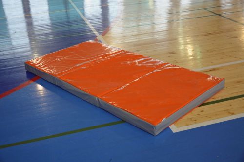 Мат гимнастический складной 2х3х0,1м  ПРОФИ (тент, антислип, 3 сложения) МС100-30#9
