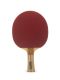 Ракетка для настольного тенниса ATEMI PRO 5000 CV#3 Ракетка для настольного тенниса ATEMI PRO 5000 CV#3