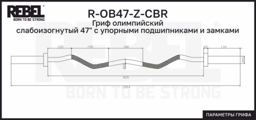 Гриф олимпийский слабоизогнутый 47" REBEL R-OB47-Z-CBR (с упорными подшипниками и замками)#8