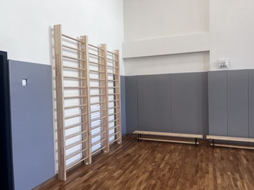 Стенка гимнастическая "Премиум" 3000х900х150мм ГОСТ (боковины из мебельного щита, березовые перекладины, в деталях) СТМ-544#4