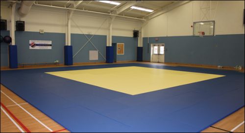 Татами 2х1х0,04м ПВВ, ПВХ ткань, низ мата открыт пл.220 кг/м3#2