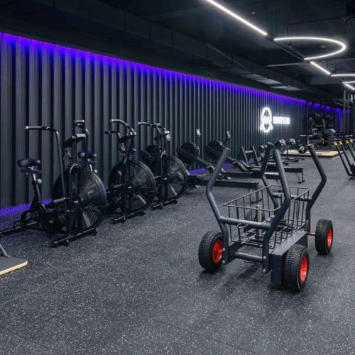 Сани-тележка для функционального тренинга ТАНГЕН#6