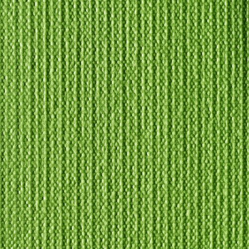 Коврик для йоги TORRES Optima 6 ПВХ (зеленый)#4