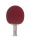 Ракетка для настольного тенниса ATEMI PRO 3000 AN#3 Ракетка для настольного тенниса ATEMI PRO 3000 AN#3