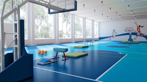 Спортивный линолеум TARKETT OMNISPORTS ACTION 65#2 Спортивный линолеум TARKETT OMNISPORTS ACTION 65#2