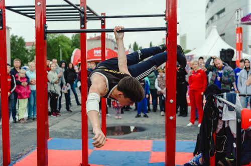 Мобильный комплекс для Воркаута Стандарт-12#3