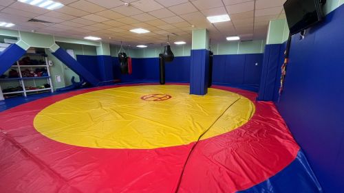 Стеновой протектор ОГНЕСТОЙКИЙ 20 мм (ПВХ-материал, ОСП, ППЭ 30 кг/м3, заключение МЧС РФ) СПГ1-10#15