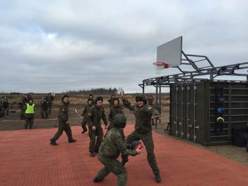 Мобильный спортивный комплекс FOREMAN ФРЕМ.333759.001#7