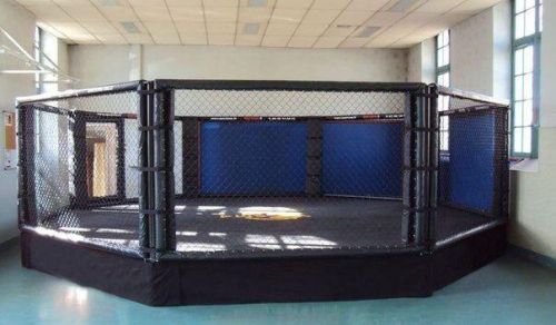 Восьмиугольный ринг ММА на помосте d=7 м (высота помоста 0,5 м)#3