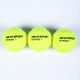 Мяч теннисный NEVA SPORT Green (3 шт.)#4 Мяч теннисный NEVA SPORT Green (3 шт.)#4