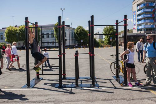 Мобильный комплекс для Воркаута Профи-5#5