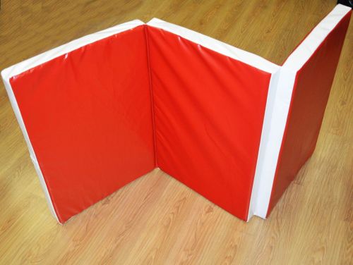 Мат гимнастический складной 2х1х0,1м ПРОФИ (иск. кожа, 3 сложения) МС100-8#5