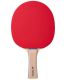 Ракетка для настольного тенниса ROXEL Hobby Progress (коническая)#4 Ракетка для настольного тенниса ROXEL Hobby Progress (коническая)#4