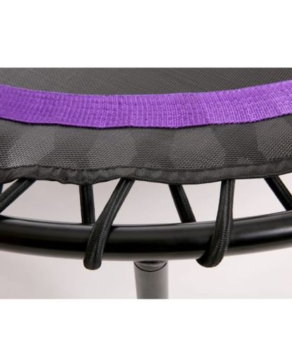Батут BASEFIT TR-501 101 см (фиолетовый)#2 Батут BASEFIT TR-501 101 см (фиолетовый)#2