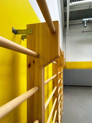 Стенка гимнастическая с выносом "Бук" 2500х900х130мм (боковины и перекладины из бука, в деталях) СТП-36#5 Стенка гимнастическая с выносом "Бук" 2500х900х130мм (боковины и перекладины из бука, в деталях) СТП-36#5