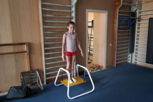 Тренажер гимнастический Проприодиск#3