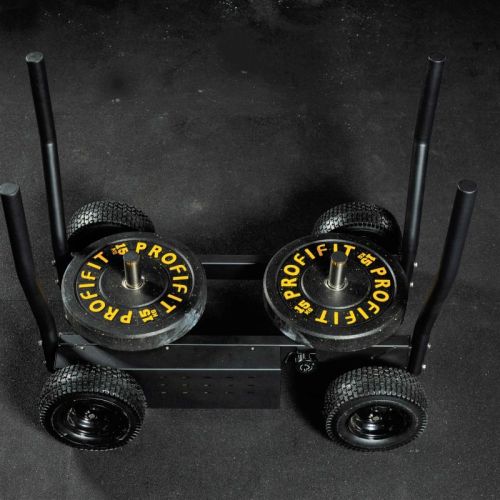 Сани-тележка для функционального тренинга ТАНГЕН#8