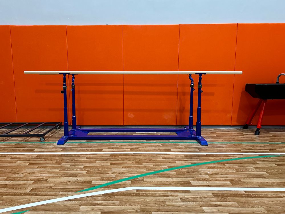 СОШ на 550 мест в посёлке Горки-2 СОШ на 550 мест в посёлке Горки-2