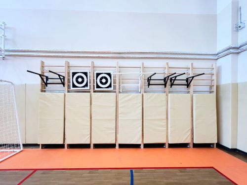 Стенка гимнастическая "Премиум" 2400х900х150мм (боковины из мебельного щита, березовые перекладины, в деталях) СТП-4#10