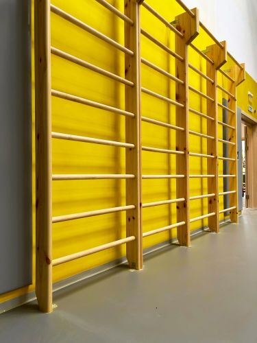 Стенка гимнастическая с выносом "Бук" 2500х900х130мм (боковины и перекладины из бука, в деталях) СТП-36#4 Стенка гимнастическая с выносом "Бук" 2500х900х130мм (боковины и перекладины из бука, в деталях) СТП-36#4