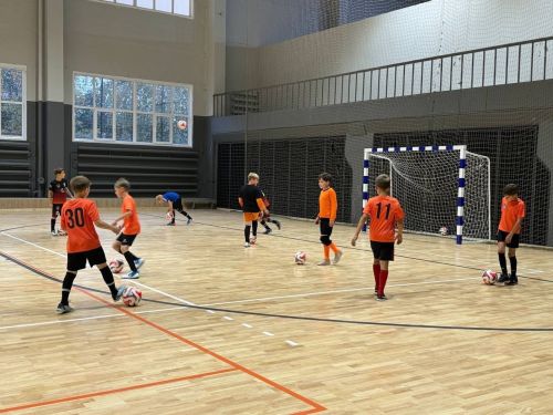 Ворота для мини-футбола/гандбола 3х2м стальные, разборные 80х80мм (разметка пленкой) СТ-310#7