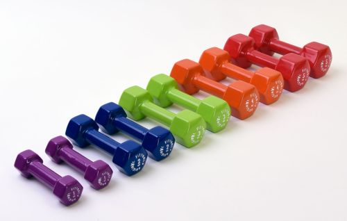 Гантель в виниловой оболочке Original FitTools FT-VWB